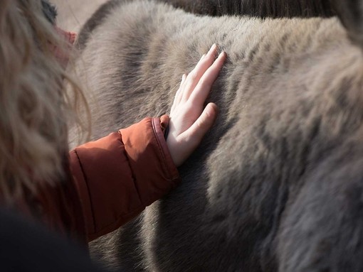 A blonde women wearing an orange coat stroking a donkey's body