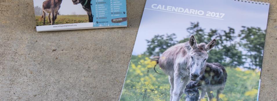 Il calendario 2017 è disponibile in due versioni: da muro e da tavolo
