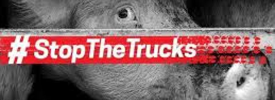 Stop The Trucks Campaign