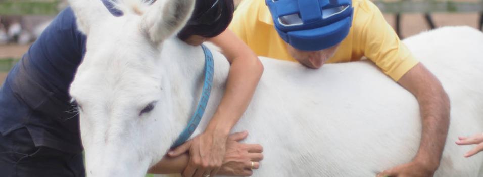 Donkey Assisted Therapy