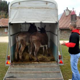 Donkey therapists Sile and Remy at their arrival in Bradet