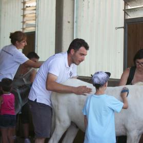 During Grooming Day visitors can learn how to brush donkeys supervised by our staff