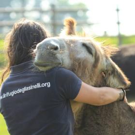 Ilaria hugging donkey Sheila