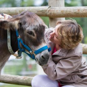 Grooming Day: brushes and cuddles for donkey Tudor