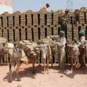 Donkeys transporting bricks (picture by The Donkey Sanctuary)