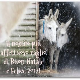 Merry Christmas and a Happy 2017 from Il Rifugio degli Asinelli