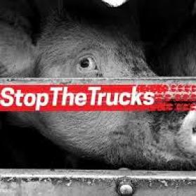 Stop The Trucks Campaign