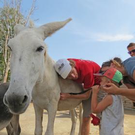 Volunteer and future Vet Thomas shows how to auscultate donkeys' heart