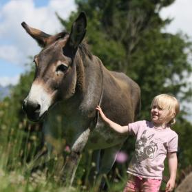 Also the smallest children can become donkey superheroes