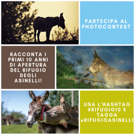 Photo contest su Instagram